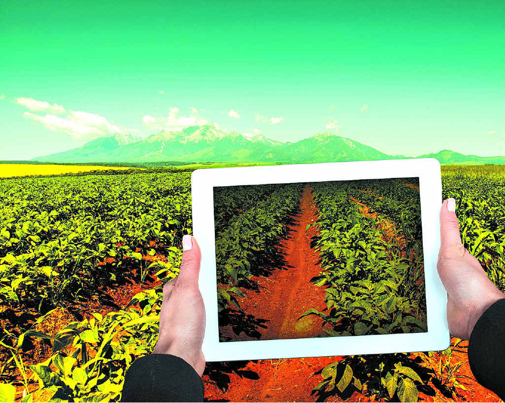 What rural women want is training